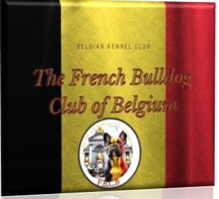 The French Bulldog Club of Belgium